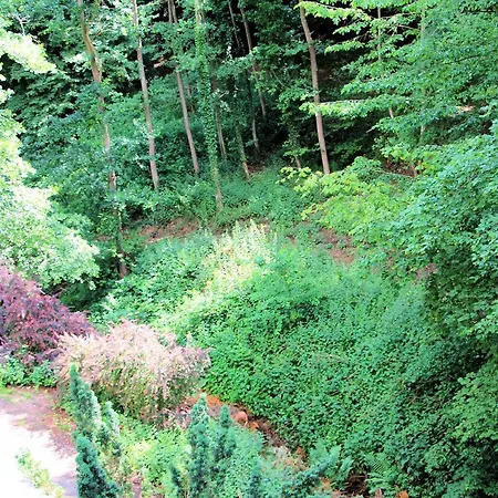 Lägenhetshotell Haus Teufenbach 3*