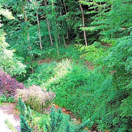 Апарт-отель Haus Teufenbach 3*