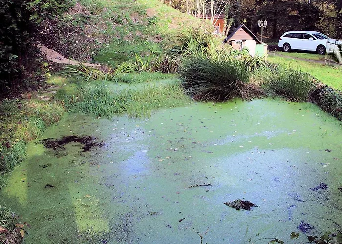 Haus Teufenbach 公寓式酒店