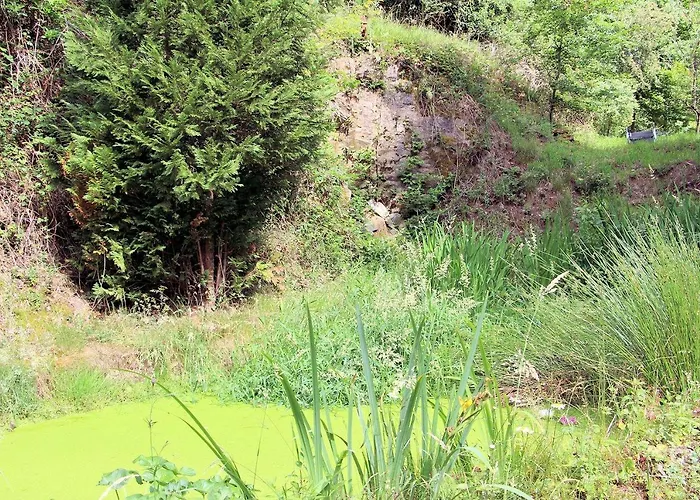 公寓式酒店 Haus Teufenbach 3*